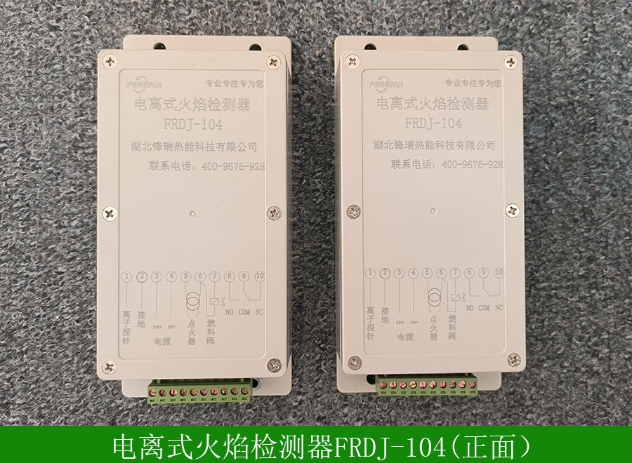电离式火焰检测器FRDJ-104